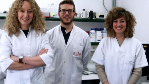 Investigación pez cebra estrés