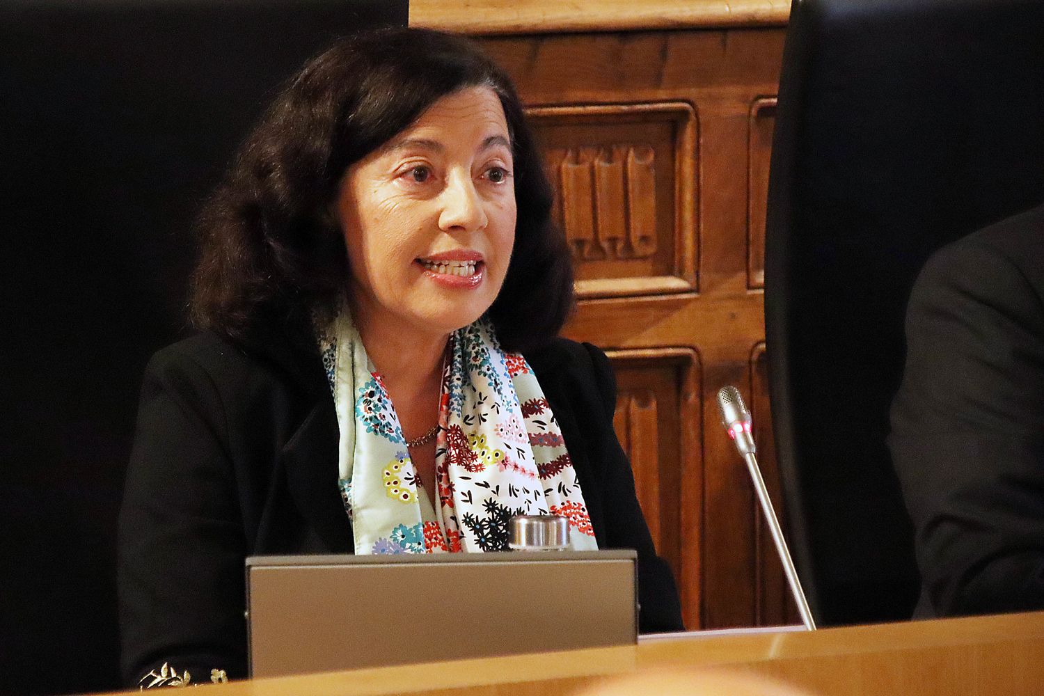 María Esther Seijas Villadangos, ponente en el acto institucional del 45 aniversario de la Constitución celebrado en la Diputación de León