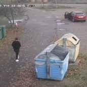 Imágenes de las cámaras de seguridad que publicó la APAP de León