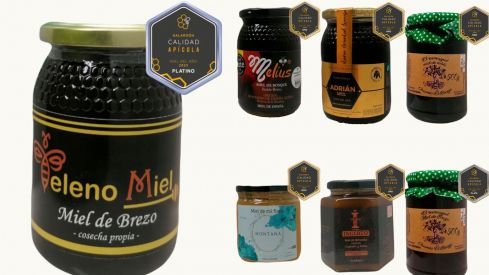 Mieles de León galardonadas por los 'Premios mejor miel del año 2023' de Calidad Apícola 