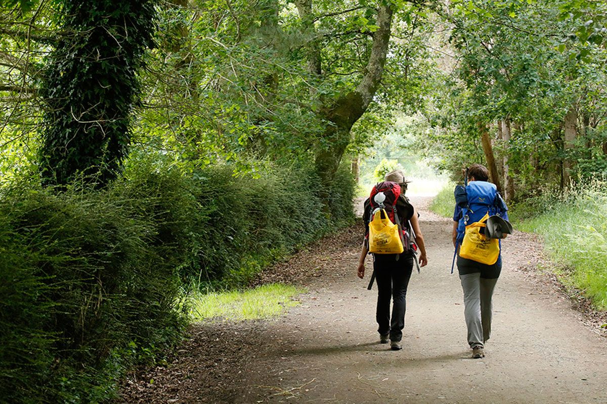 peregrinos-camino-santiago