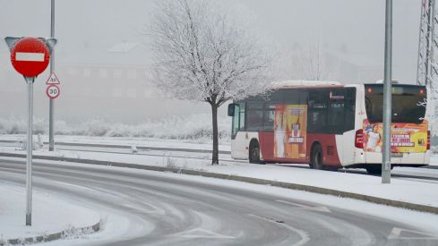 Fuerte helada en León | Campillo (ICAL) Fuerte helada en León | Campillo (ICAL)