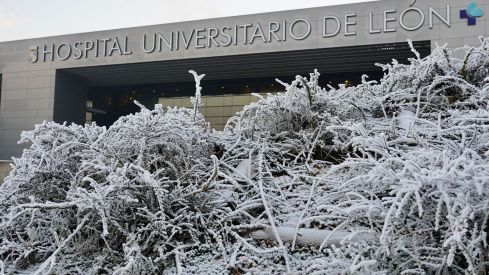 Fuerte helada en León | Campillo (ICAL) Fuerte helada en León | Campillo (ICAL)