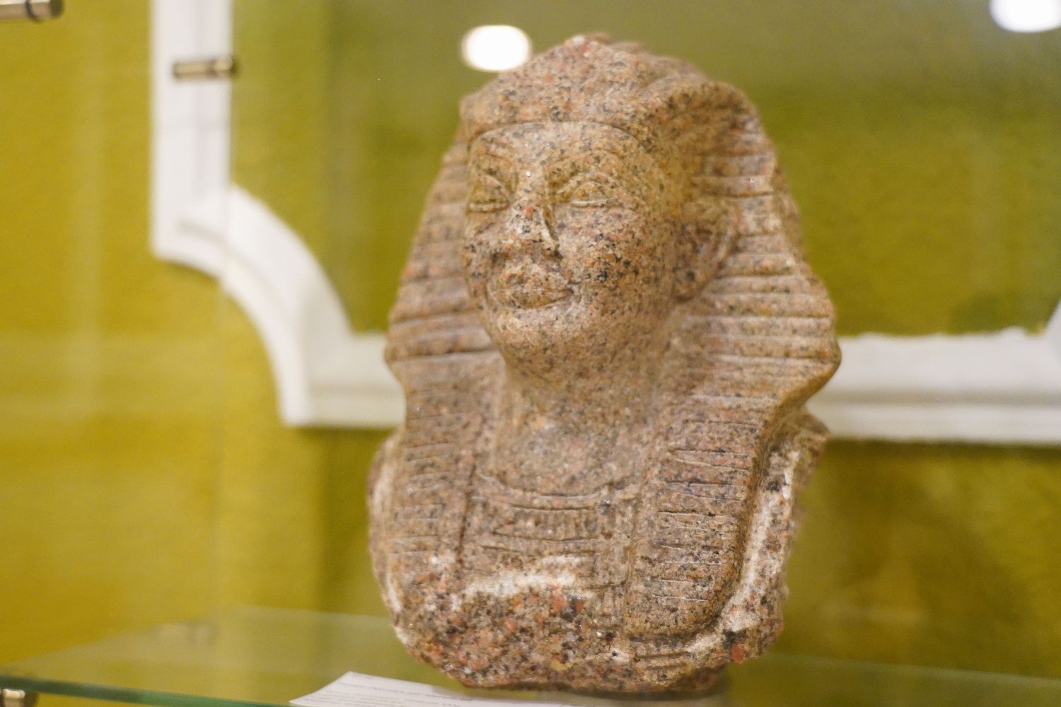  Décimo aniversario del Museo Egipcio de León