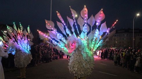 León y el alfoz se llena de magia con las Cabalgatas de los Reyes Magos | José Martín León y el alfoz se llena de magia con las Cabalgatas de los Reyes Magos | José Martín