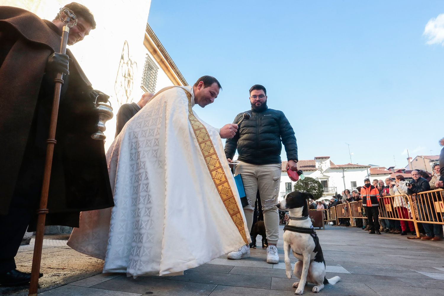 Bendición de animales en la celebración de San Antón