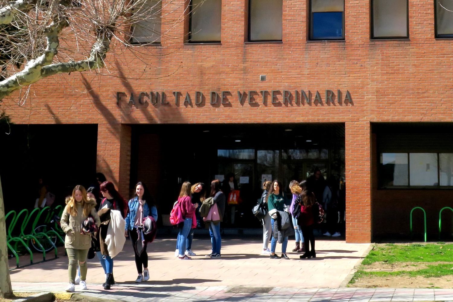 Los veterinarios de León califican de “puñalada trapera” la Facultad “aparecida de repente” para Salamanca