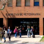 Los veterinarios de León califican de “puñalada trapera” la Facultad “aparecida de repente” para Salamanca