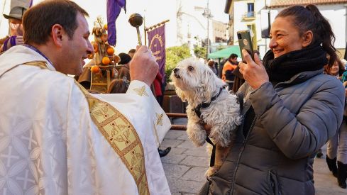 Bendición a los animales de León con motivo de San Antón | Campillo (ICAL)