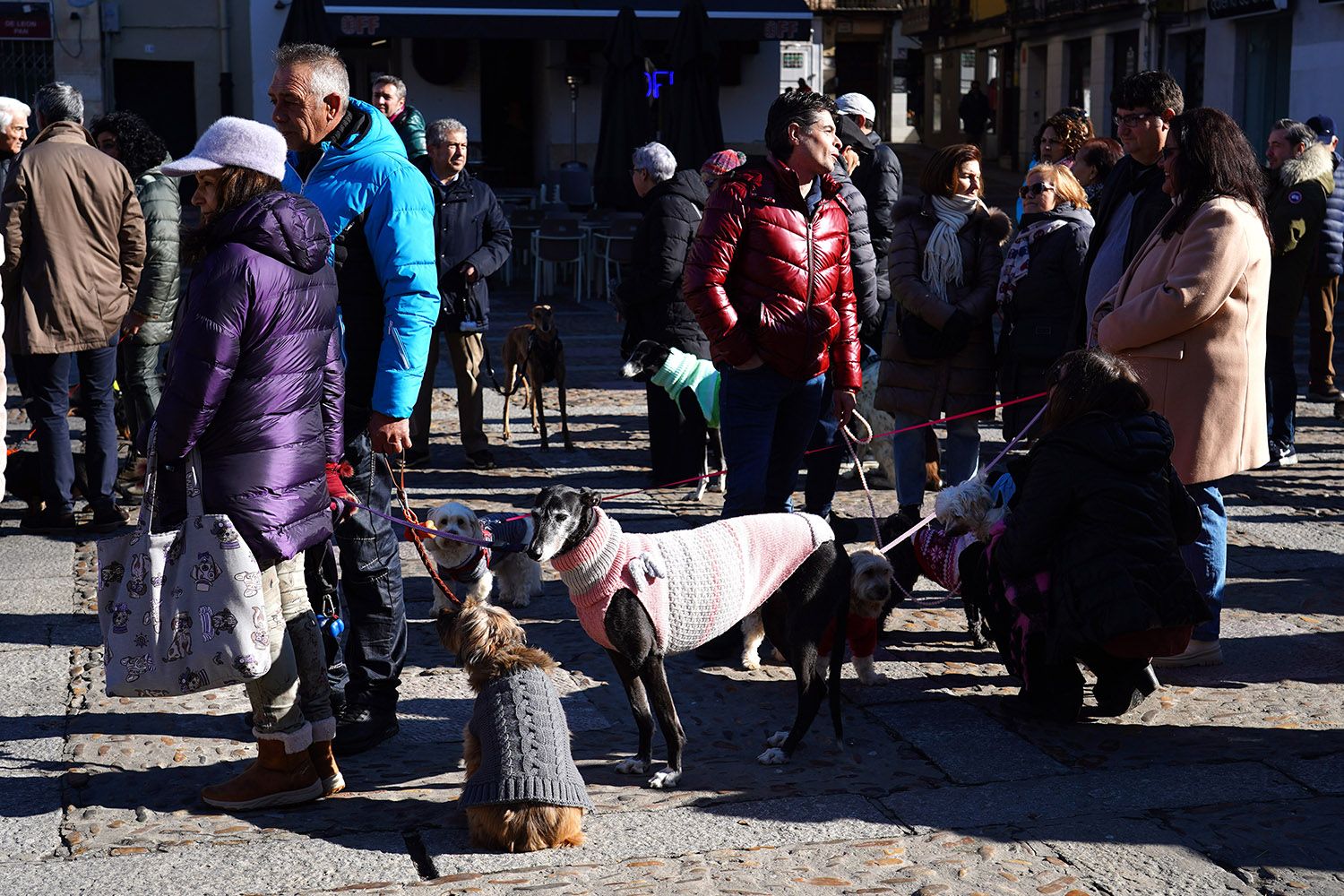 Bendición a los animales de León con motivo de San Antón | Campillo (ICAL)