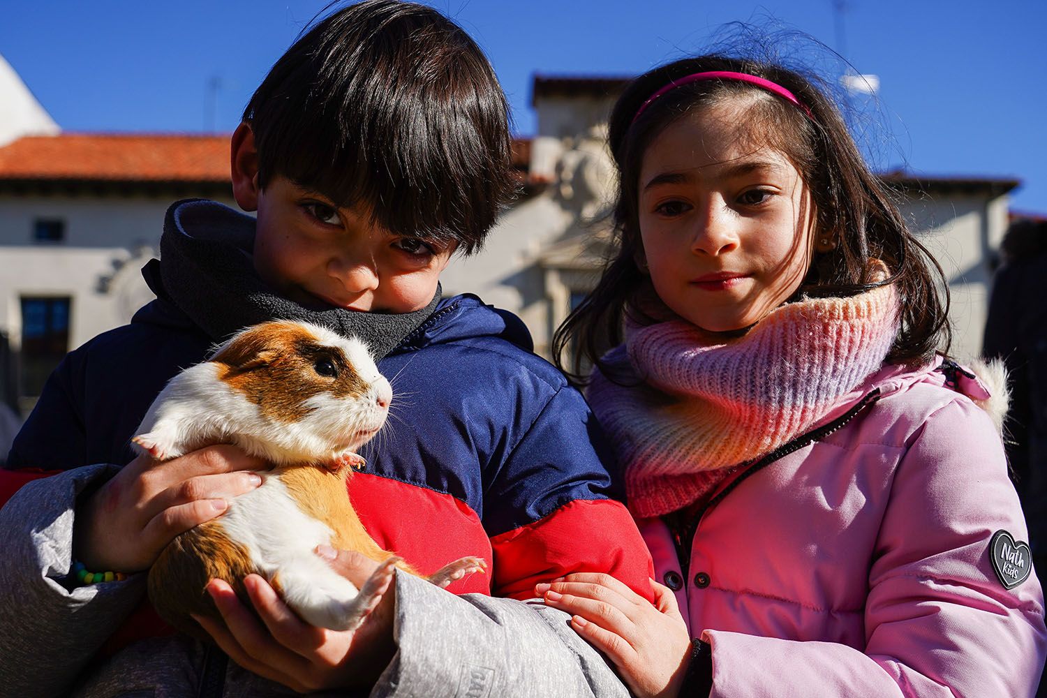 Bendición a los animales de León con motivo de San Antón | Campillo (ICAL)