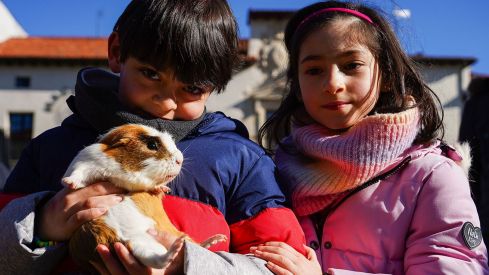 Bendición a los animales de León con motivo de San Antón | Campillo (ICAL)