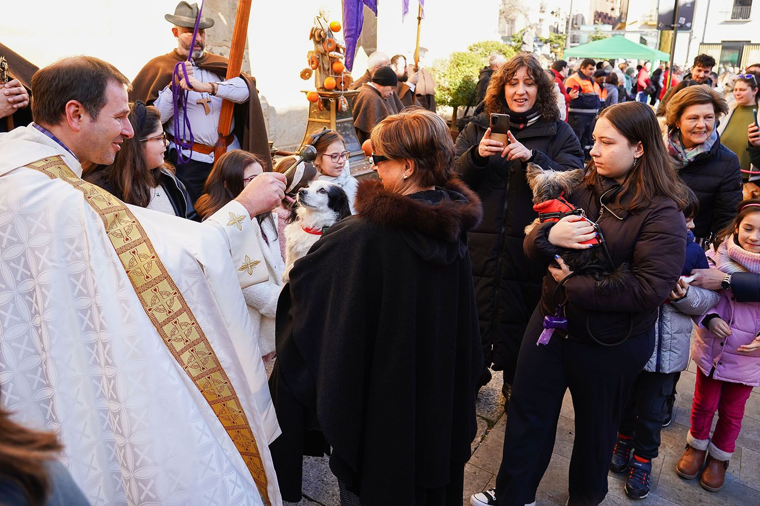 Bendición a los animales de León con motivo de San Antón | Campillo (ICAL)