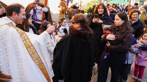 Bendición a los animales de León con motivo de San Antón | Campillo (ICAL)