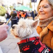 Bendición a los animales de León con motivo de San Antón | Campillo (ICAL)