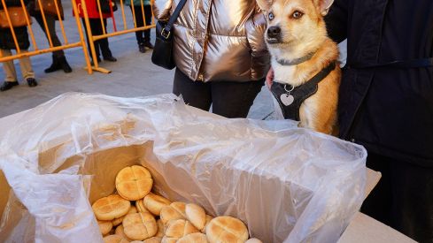 Bendición a los animales de León con motivo de San Antón | Campillo (ICAL)