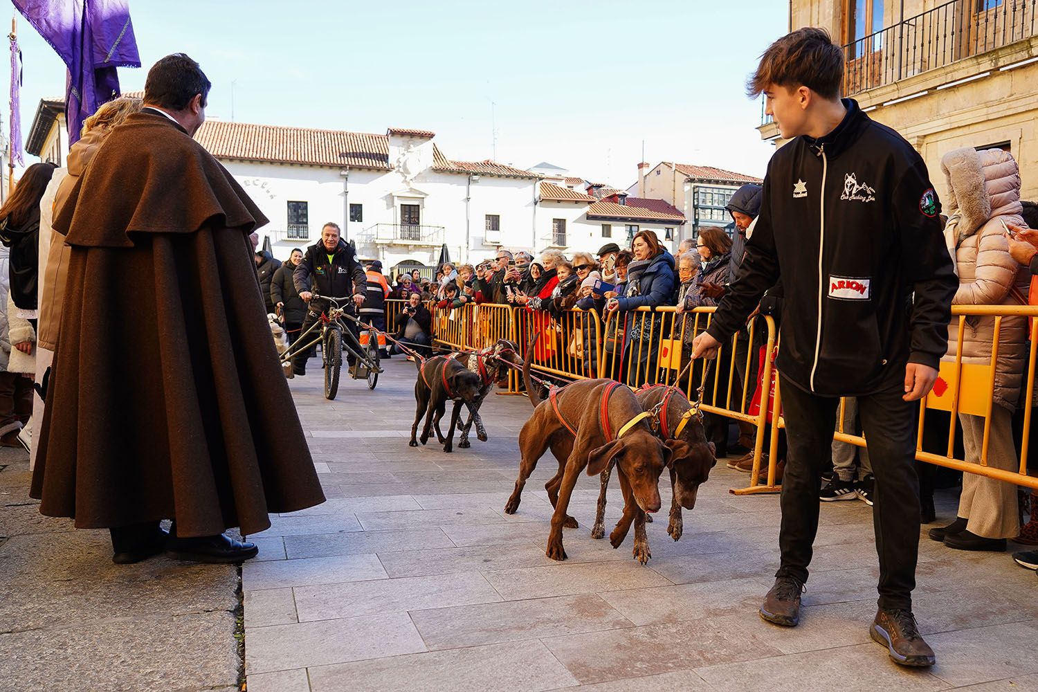 Bendición a los animales de León con motivo de San Antón | Campillo (ICAL)