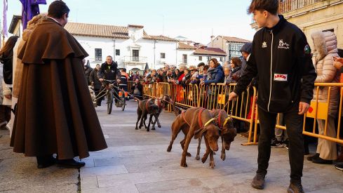 Bendición a los animales de León con motivo de San Antón | Campillo (ICAL)