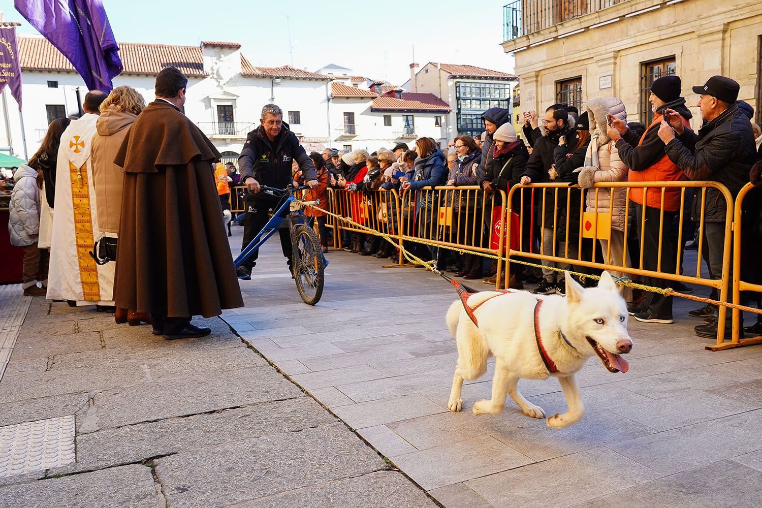 Bendición a los animales de León con motivo de San Antón | Campillo (ICAL)