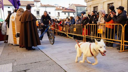 Bendición a los animales de León con motivo de San Antón | Campillo (ICAL)