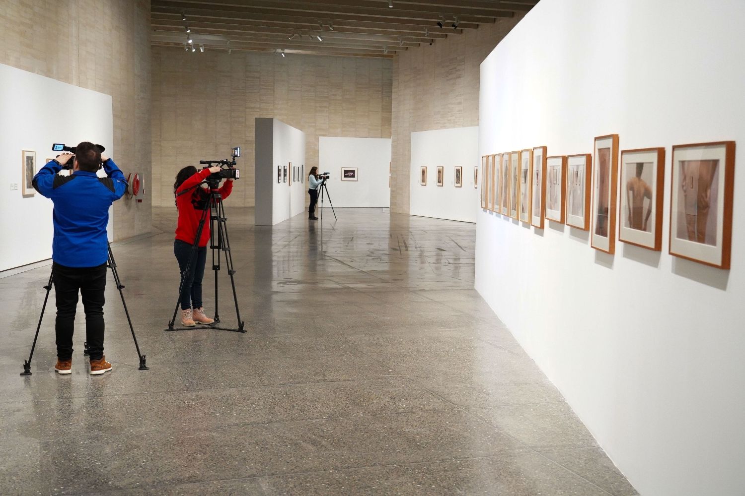   Presentación de dos exposiciones en el Musac | Campillo / ICAL.