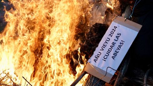 Celebración de “Los Campaneirus” en La Cuesta| Campillo / ICAL Celebración de “Los Campaneirus” en La Cuesta| Campillo / ICAL