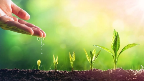 Una investigación de la ULE revela que el 10% de españoles lleva nombre o apellido procedente de plantas