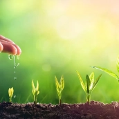 Una investigación de la ULE revela que el 10% de españoles lleva nombre o apellido procedente de plantas