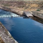 Pacma pide a la CHD que complete las medidas de seguridad para evitar más muertes en el Canal de Arriola Pacma pide a la CHD que complete las medidas de seguridad para evitar más muertes en el Canal de Arriola