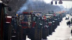 Tractorada en León | Peio García / ICAL. Caja Rural se solidariza en apoyo al campo y la ganadería leonesa
