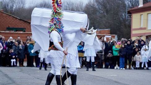 Antruejo de Velilla de la Reina | Campillo (ICAL)