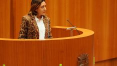 La procuradora de UPL en Castilla y León, Alicia Gallego 