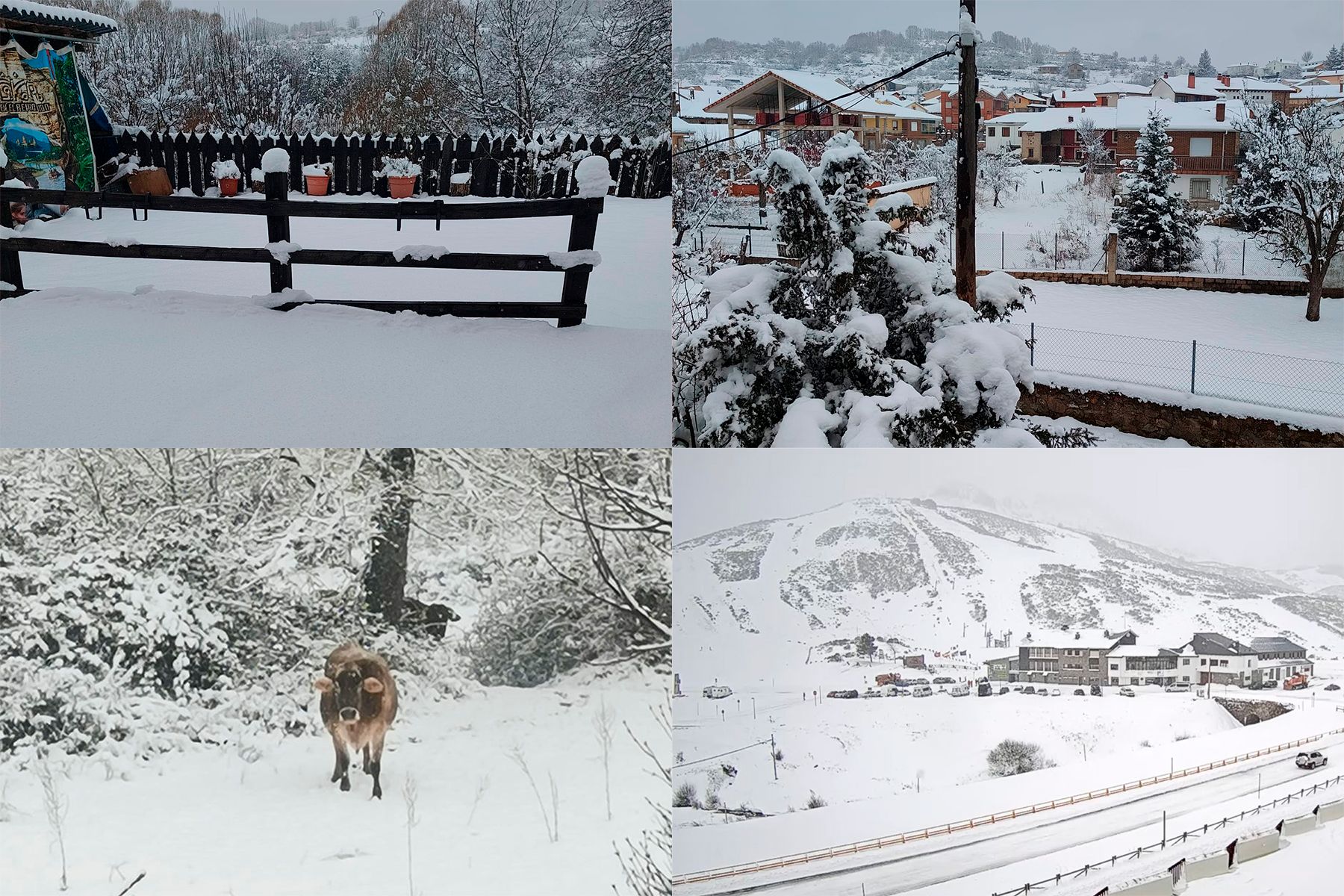 Nieve en varios puntos de la provincia de León