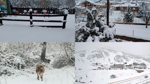 Nieve en varios puntos de la provincia de León