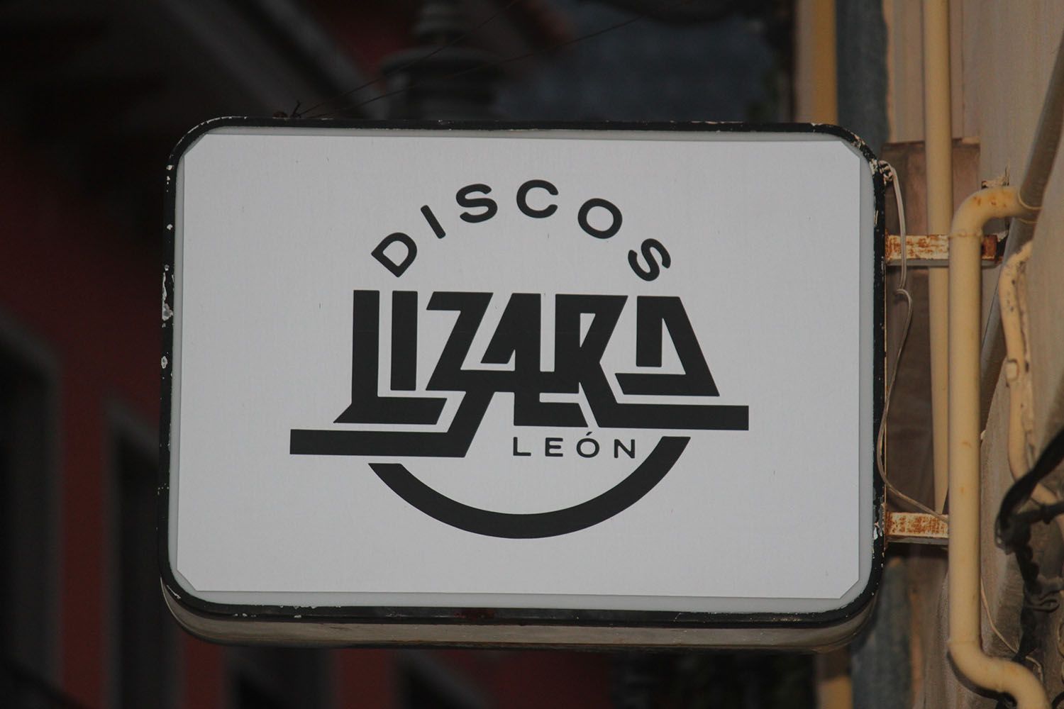 Discos Lizard4