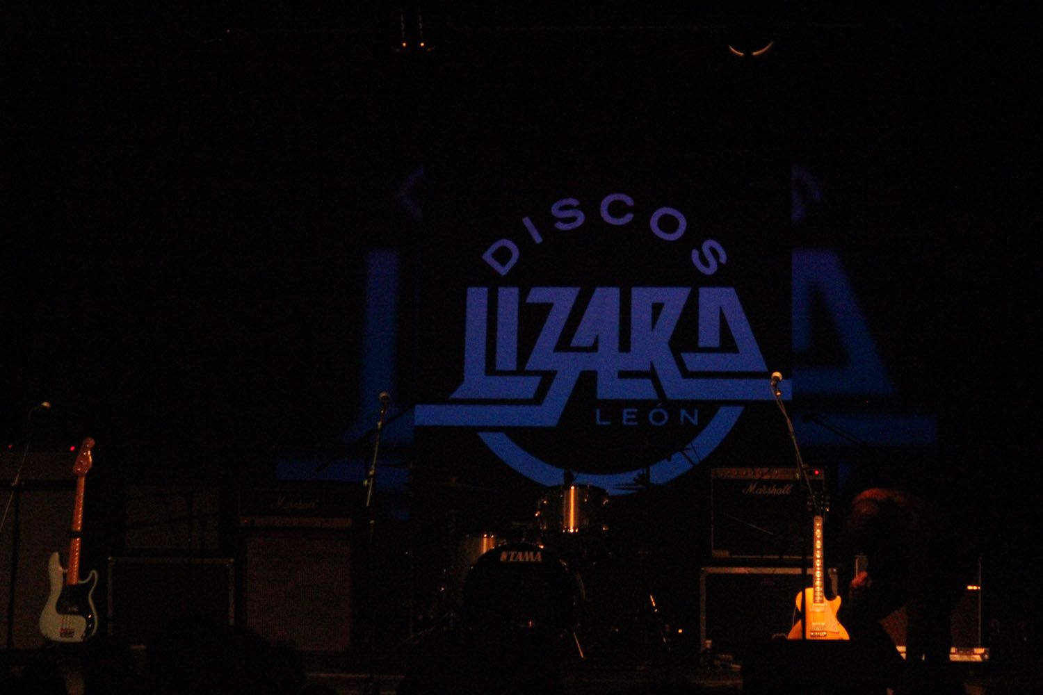 Discos Lizard17