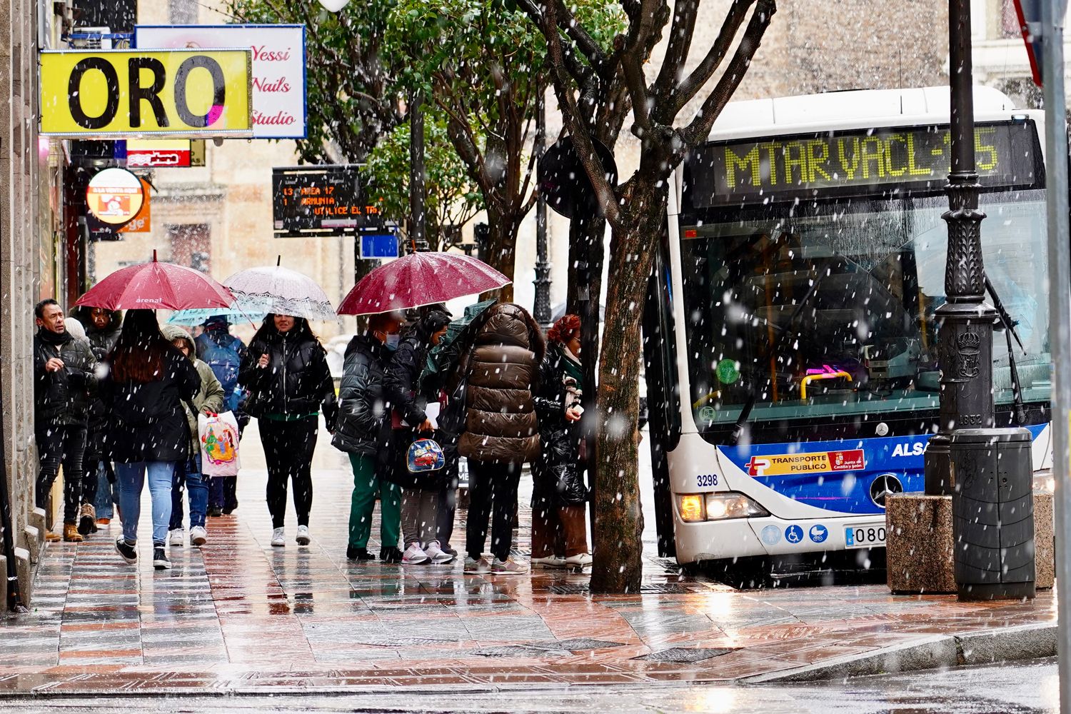 Nieve en León | Campillo (ICAL)