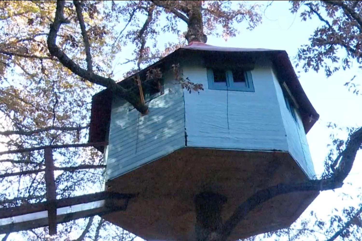 casa del árbol sara garcía 