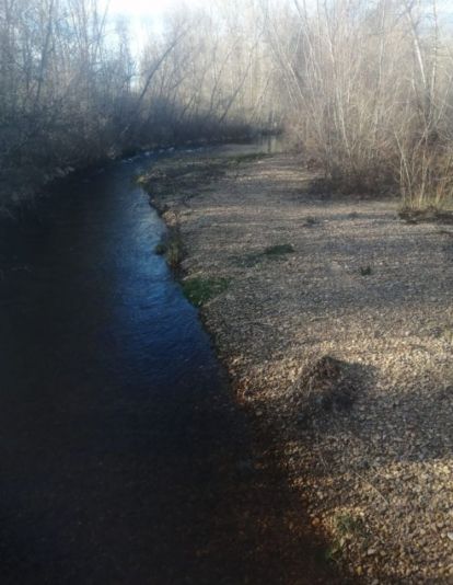 Los vecinos de Villaobispo de Otero (León) exigen la limpieza del río Tuerto para evitar más inundaciones