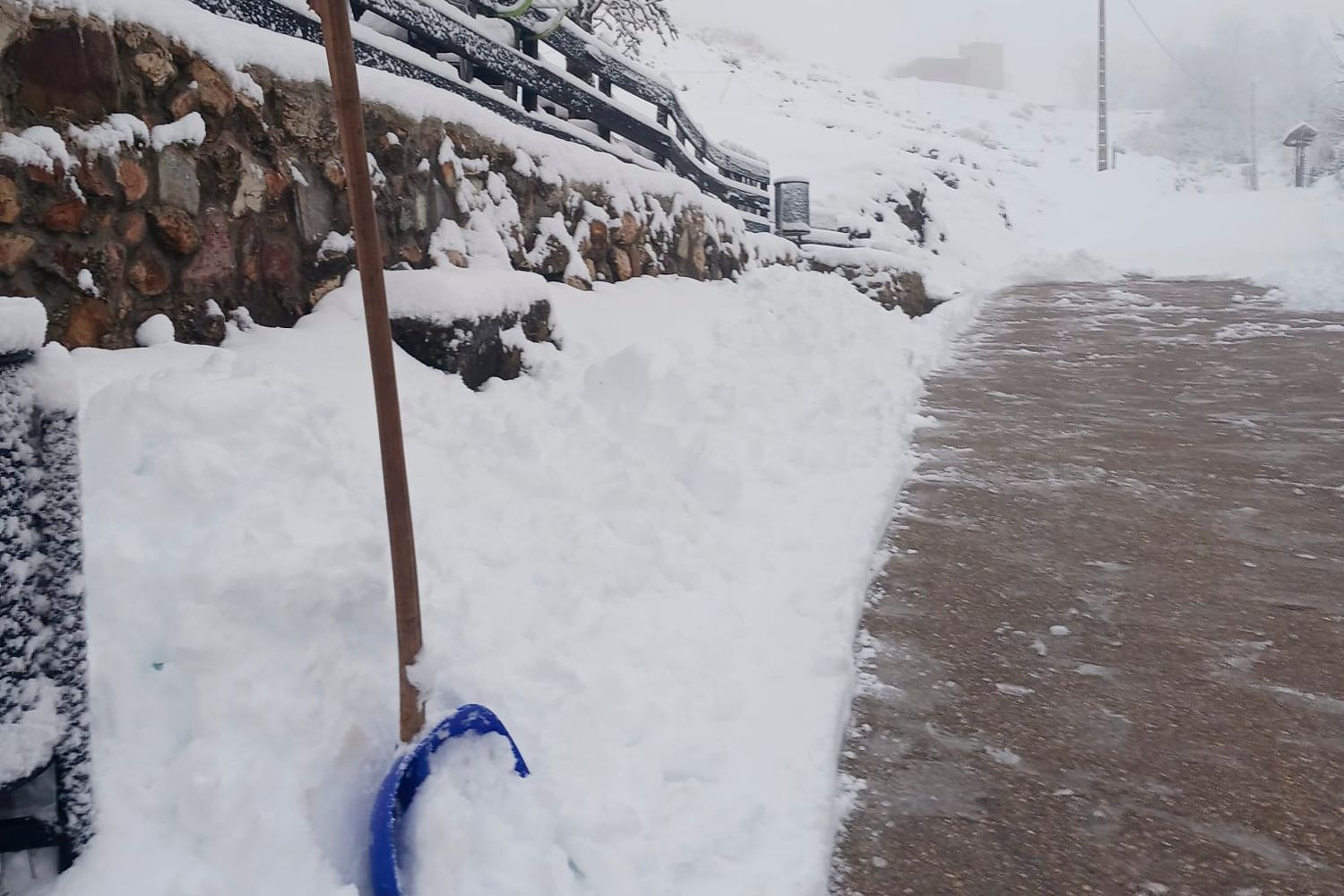 nieve en ferreras del puerto 2