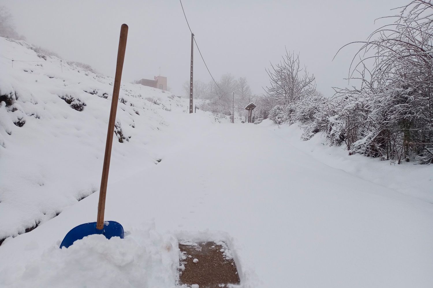 nieve en ferreras del puerto 4