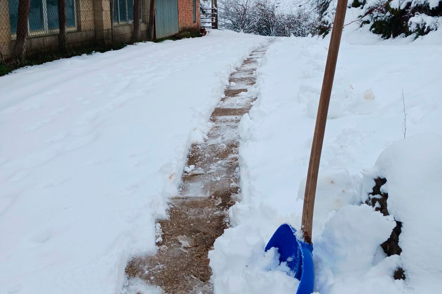 nieve en ferreras del puerto 6