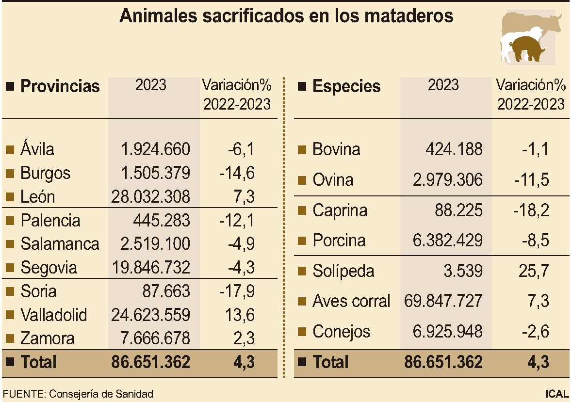 grafico mataderos cyl