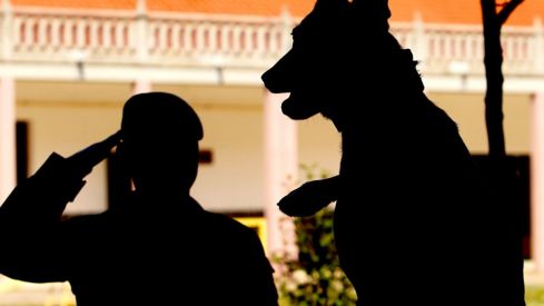 El Acuartelamiento Santocildes de Astorga recibe el premio Sacu 2023  | Campillo / ICAL