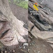 Investigan a un hombre por daños  en el tejo milenario en San Cristóbal de Valdueza (León)