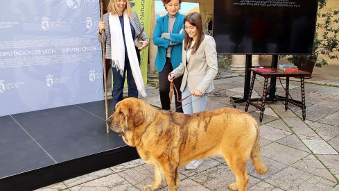 Entrega de los Premios Aventura Trashumante | Peio García / ICAL.