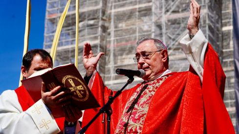 Procesión de Las Palmas | Campillo / ICAL. 