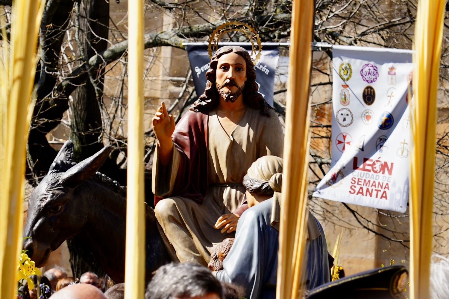 Procesión de Las Palmas | Campillo / ICAL. 