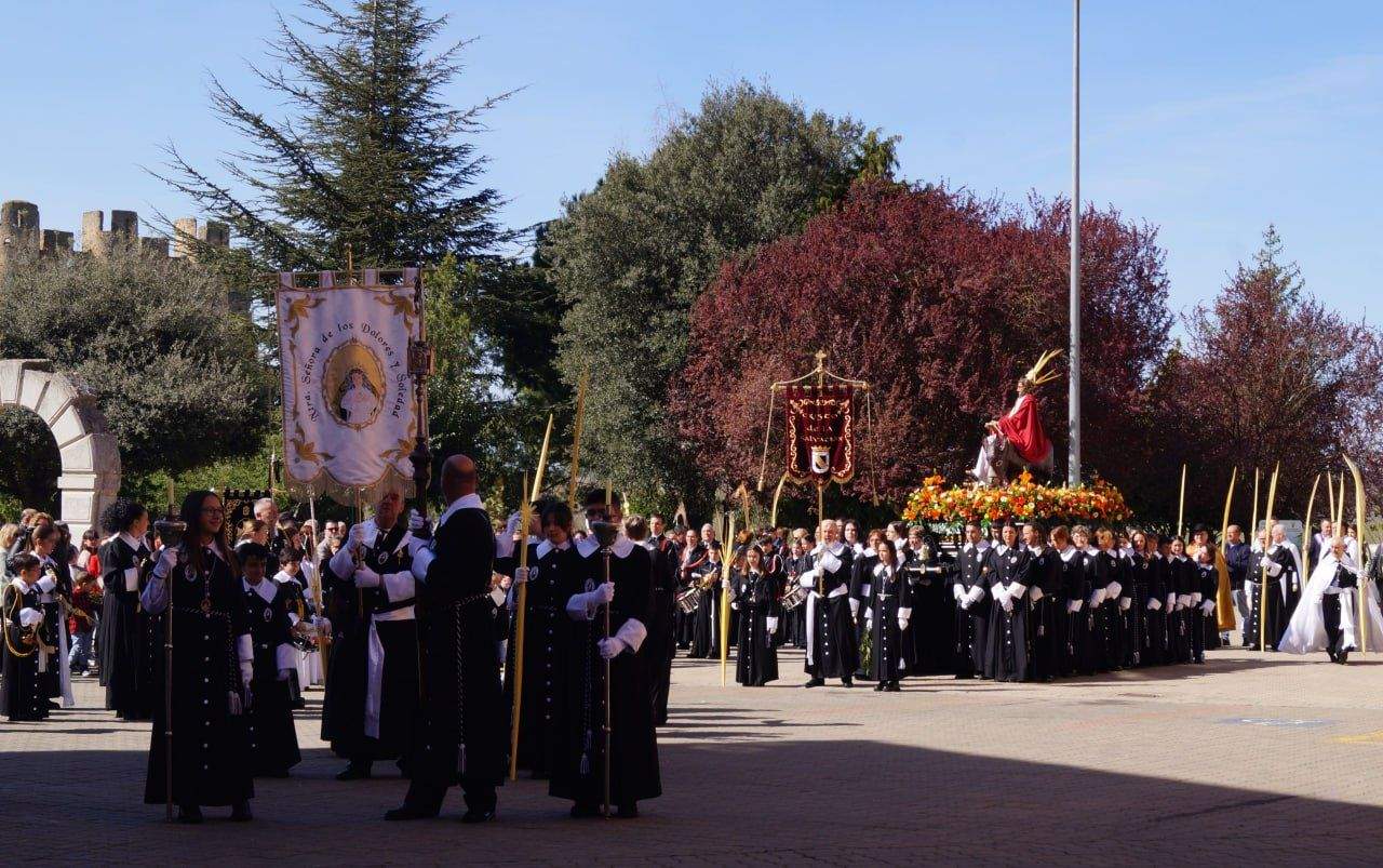 Las palmas del Domingo de Ramo salen en procesión por las calles deValencia de Don Juan Las palmas del Domingo de Ramo salen en procesión por las calles deValencia de Don Juan