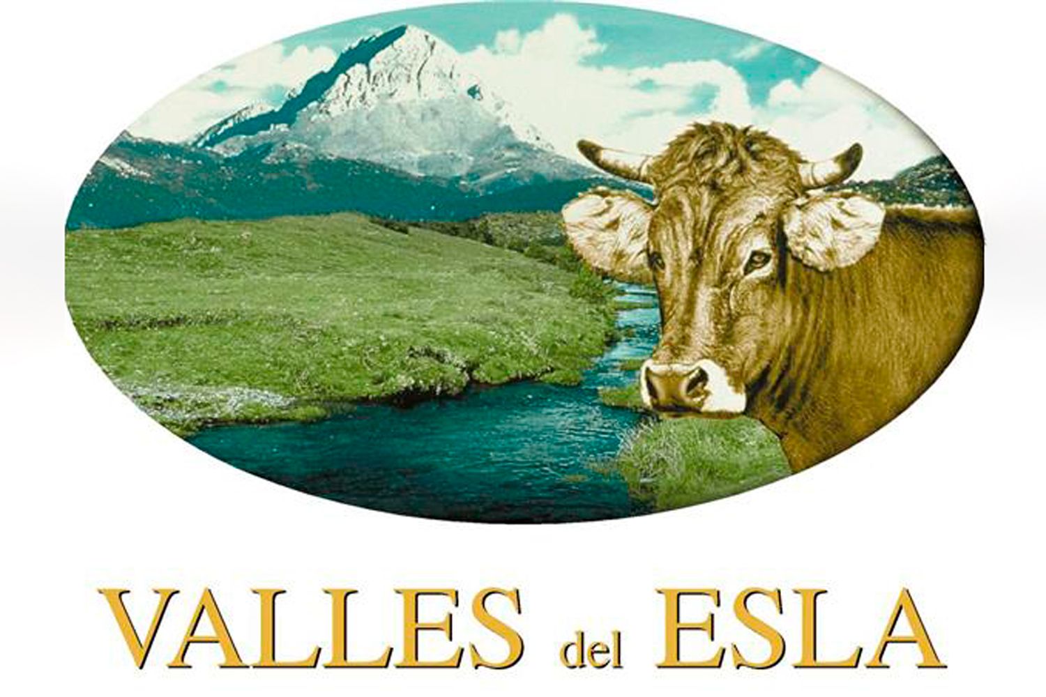 valles del esla 